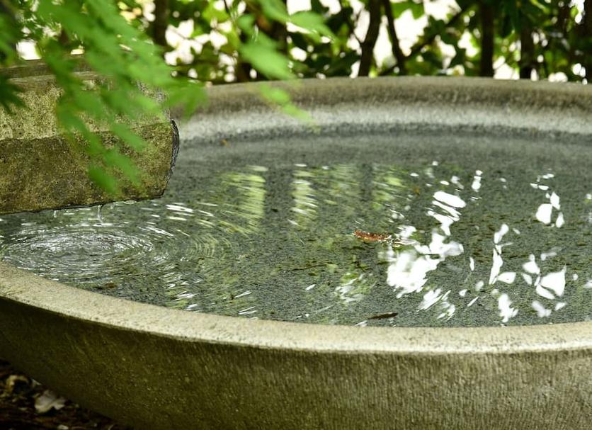 Cảnh ngoài trời Ảnh