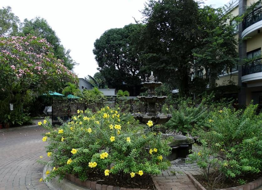 Cảnh ngoài trời Ảnh