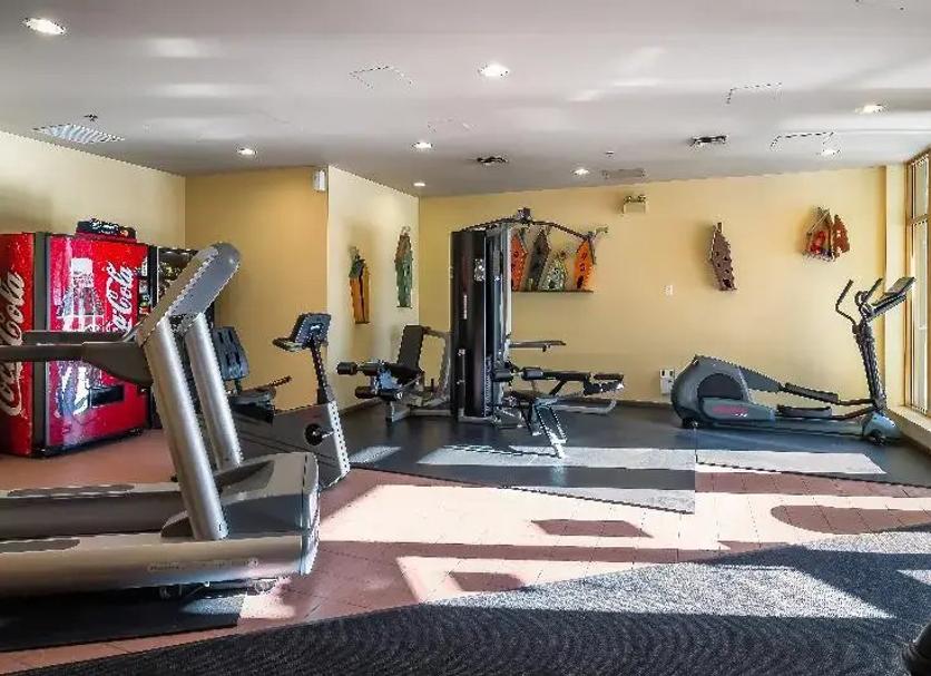 Gym Ảnh