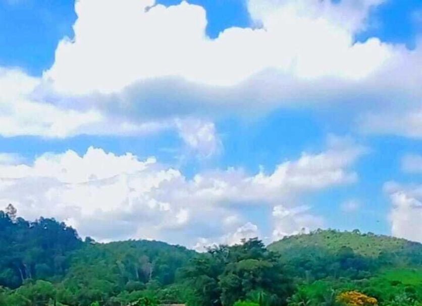 Cảnh ngoài trời Ảnh