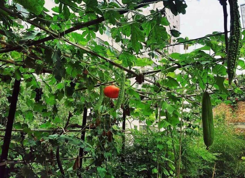 Cảnh ngoài trời Ảnh