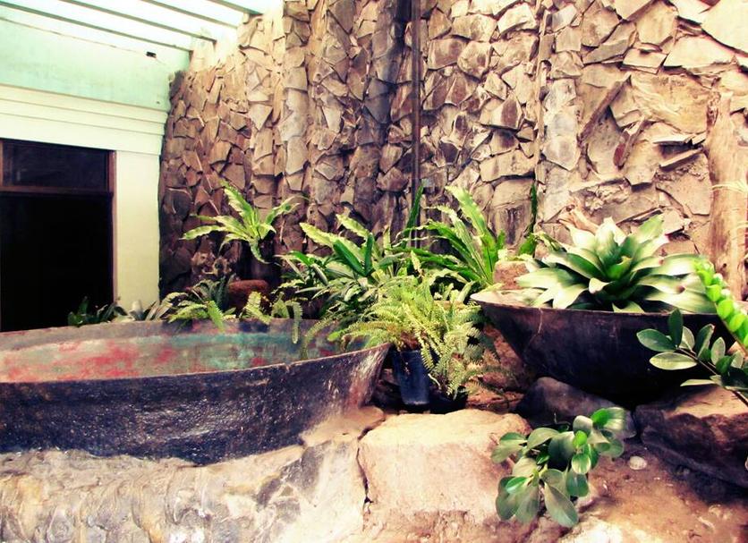 Cảnh ngoài trời Ảnh