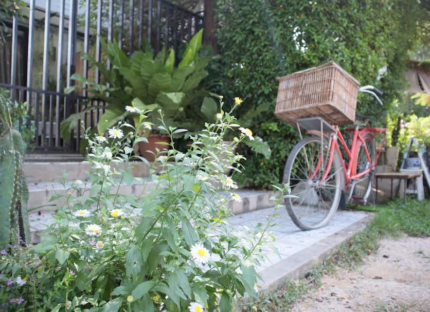 Cảnh ngoài trời Ảnh