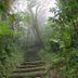 Cảnh ngoài trời