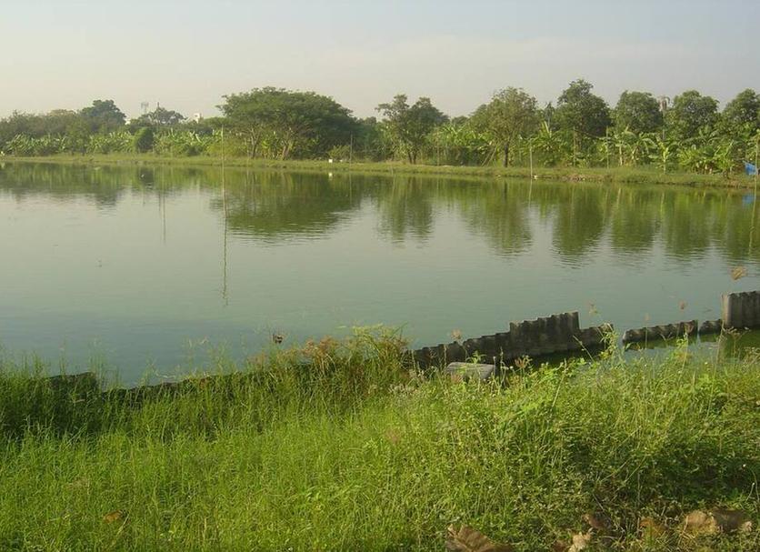 Cảnh ngoài trời Ảnh