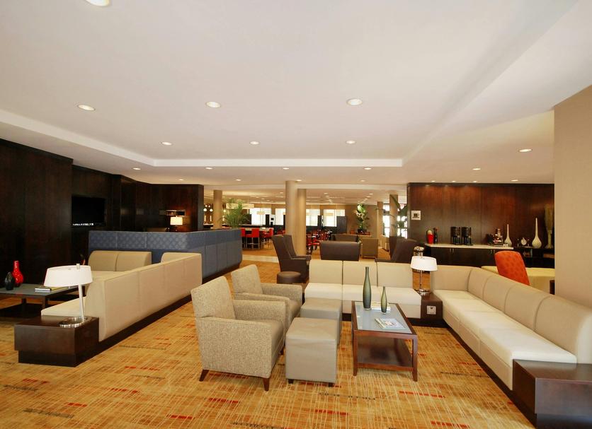 Lounge Ảnh