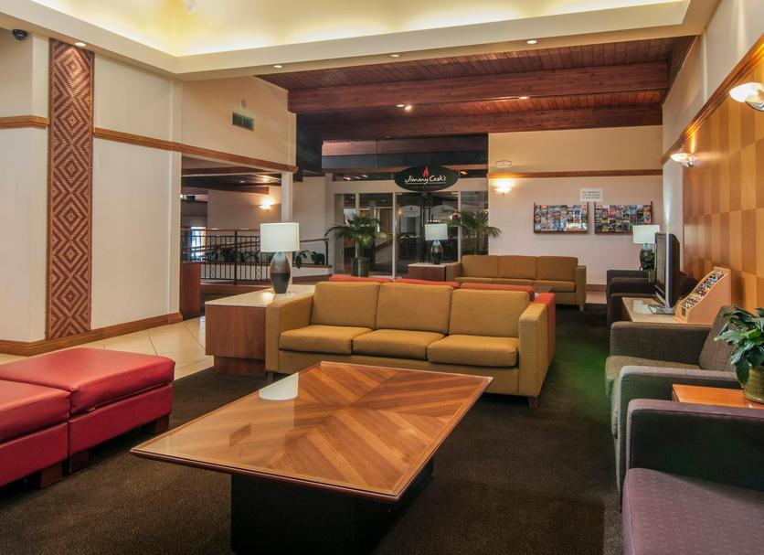 Lounge Ảnh