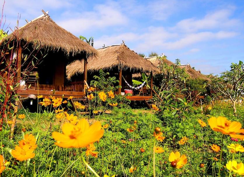 Cảnh ngoài trời Ảnh