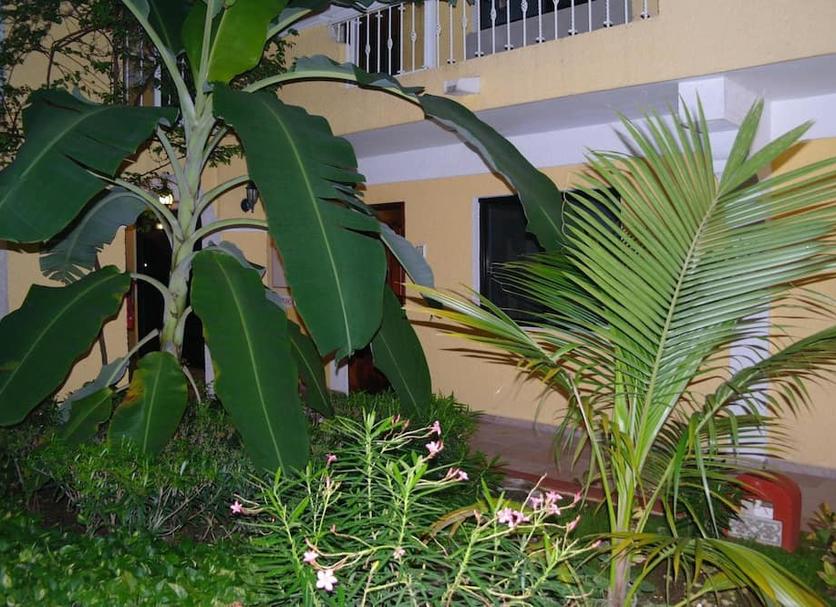 Cảnh ngoài trời Ảnh