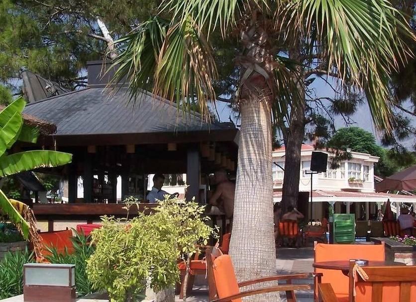 Cảnh ngoài trời Ảnh