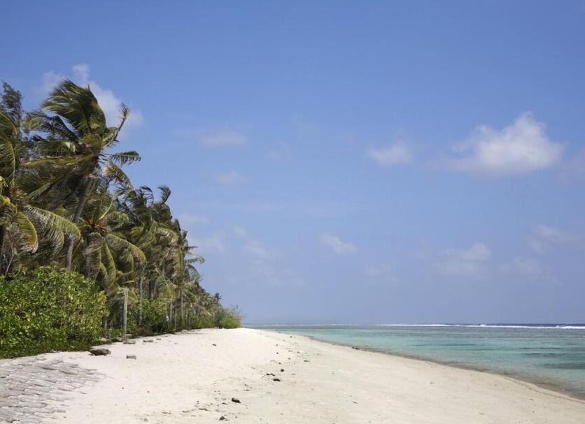Bãi biển Ảnh