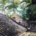Cảnh ngoài trời