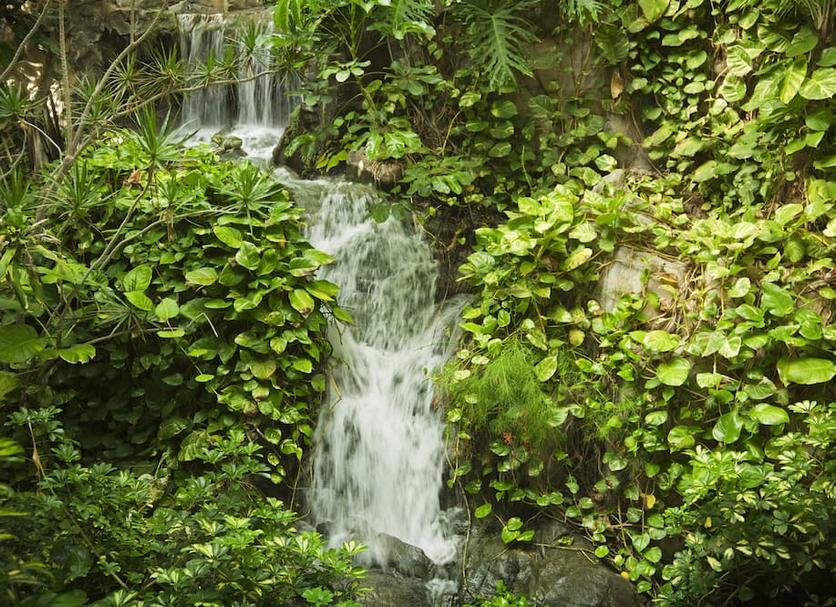Cảnh ngoài trời Ảnh