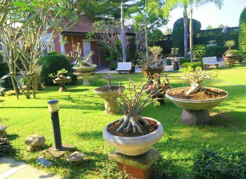 Cảnh ngoài trời Ảnh