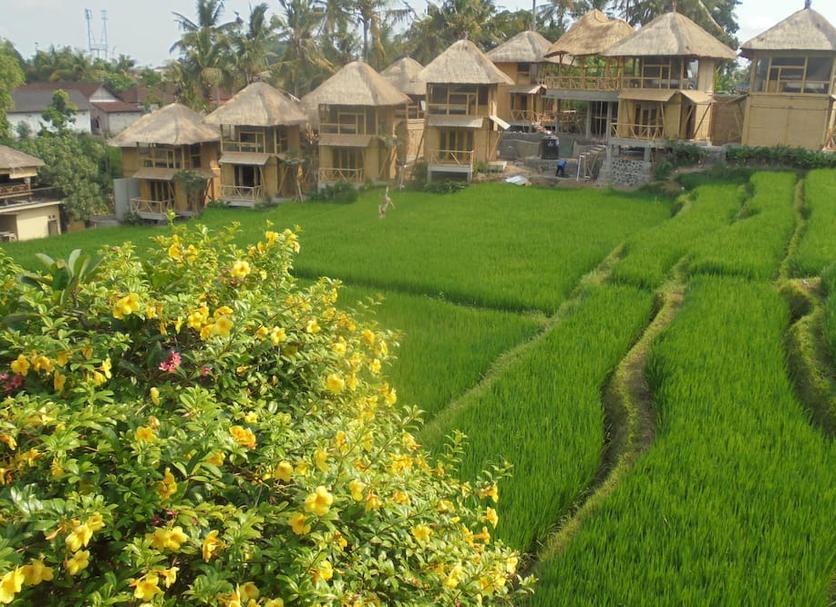Cảnh ngoài trời Ảnh