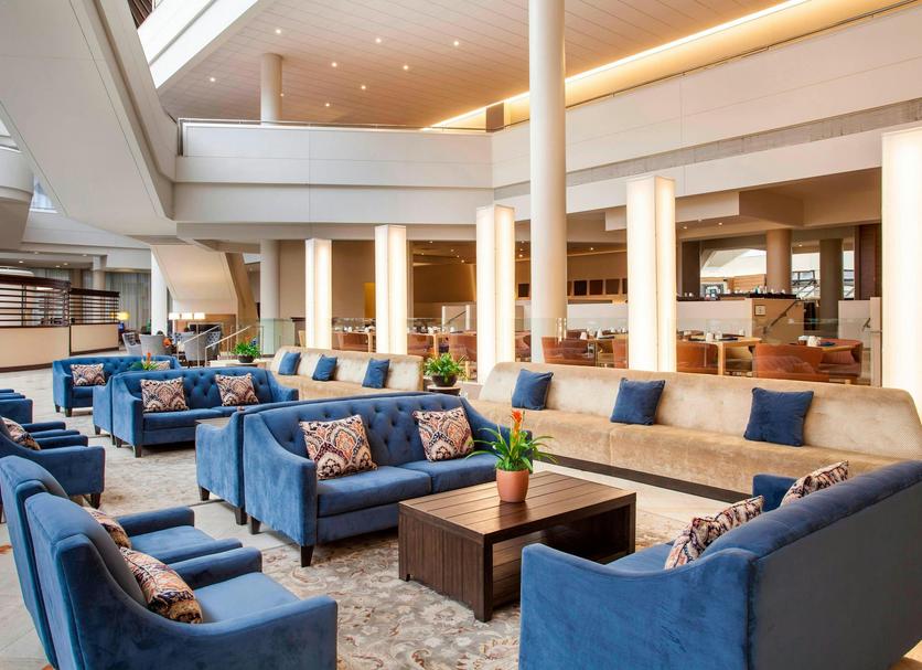 Lounge Ảnh