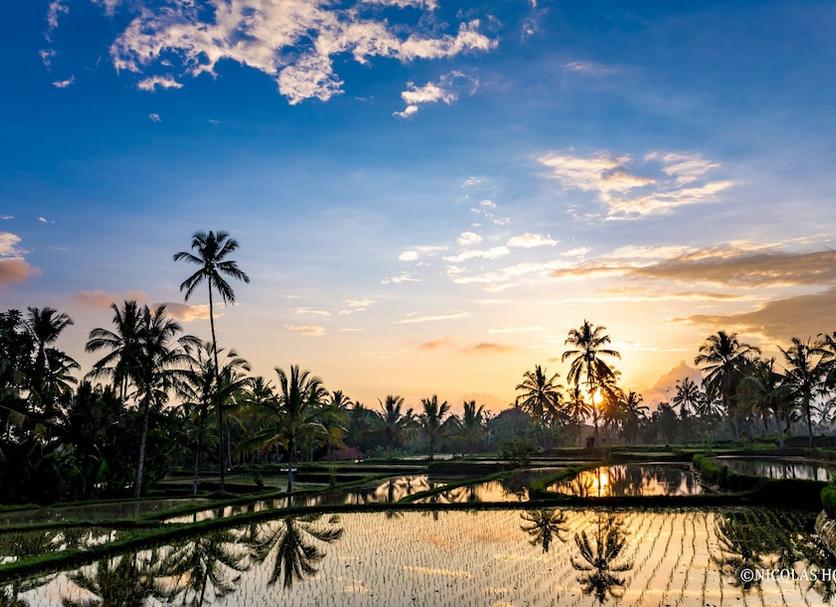 Cảnh ngoài trời Ảnh
