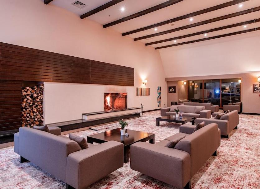Lounge Ảnh