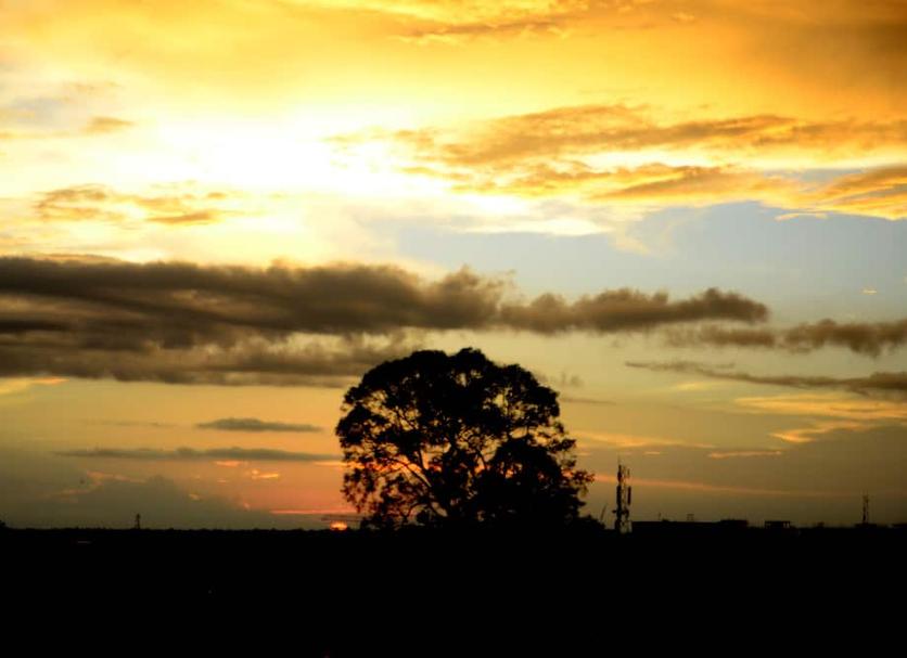 Cảnh ngoài trời Ảnh