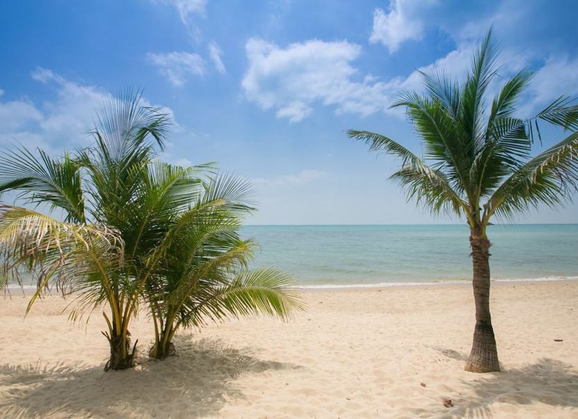 Bãi biển Ảnh