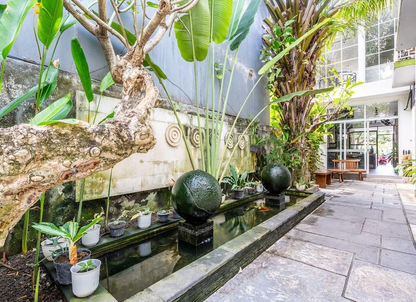 Cảnh ngoài trời Ảnh