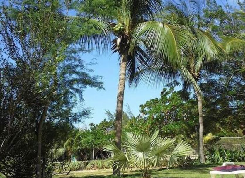 Bể bơi Ảnh