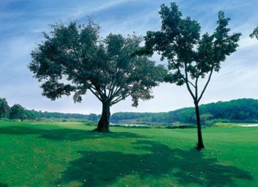 Cảnh ngoài trời Ảnh