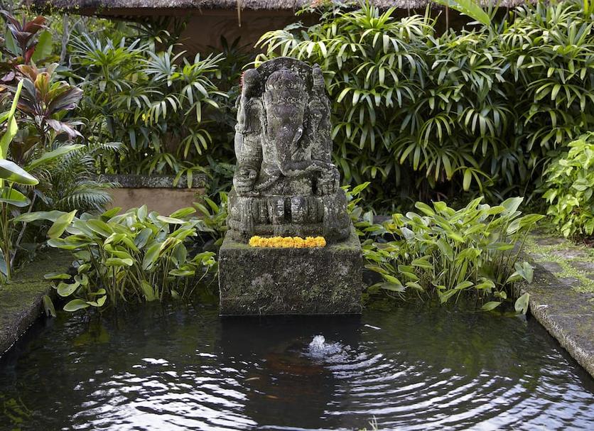 Cảnh ngoài trời Ảnh