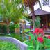 Cảnh ngoài trời