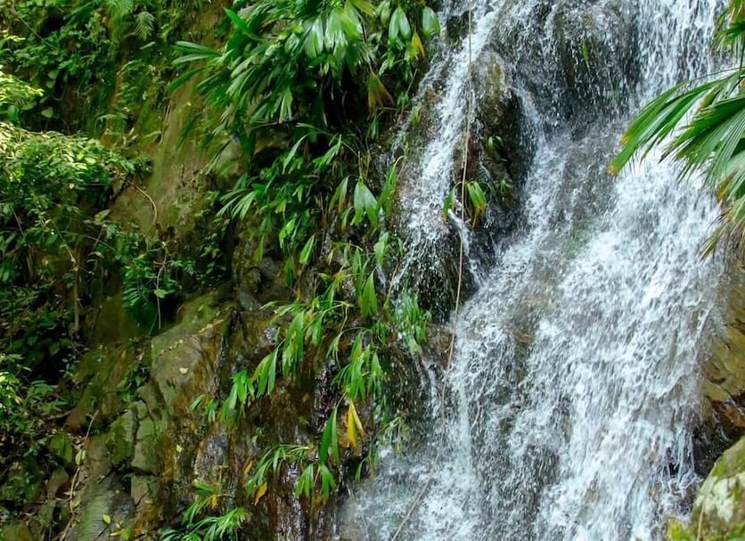 Cảnh ngoài trời Ảnh