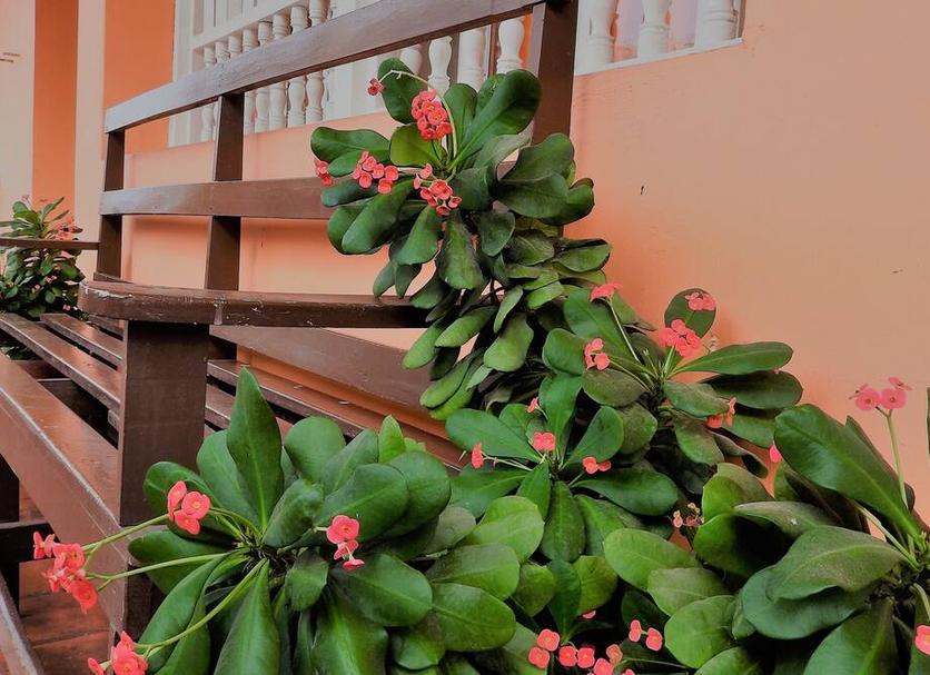 Cảnh ngoài trời Ảnh