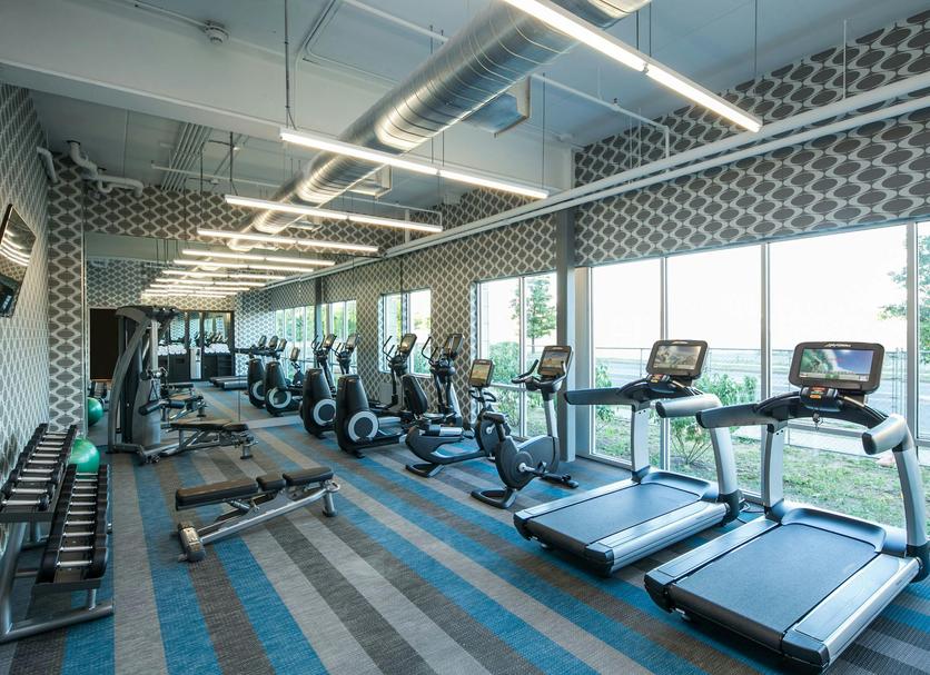 Gym Ảnh