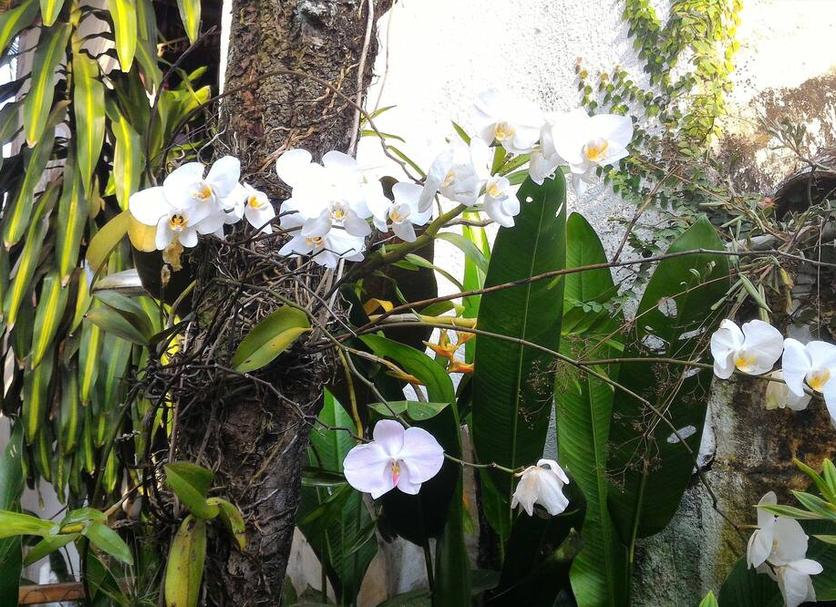 Cảnh ngoài trời Ảnh