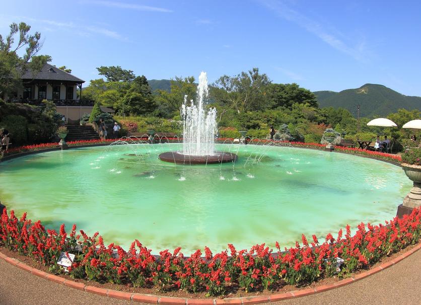 Khác Ảnh