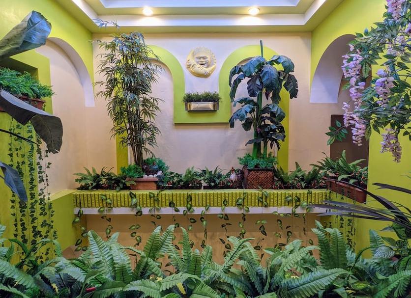 Cảnh ngoài trời Ảnh