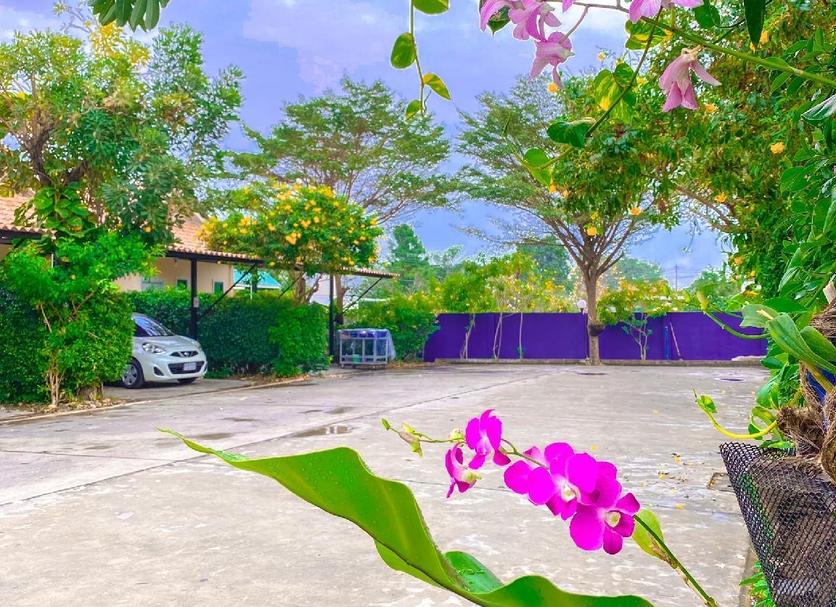Cảnh ngoài trời Ảnh