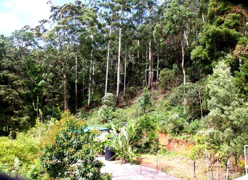 Cảnh ngoài trời Ảnh
