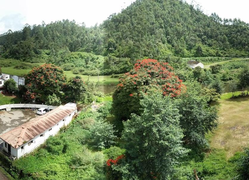 Cảnh ngoài trời Ảnh