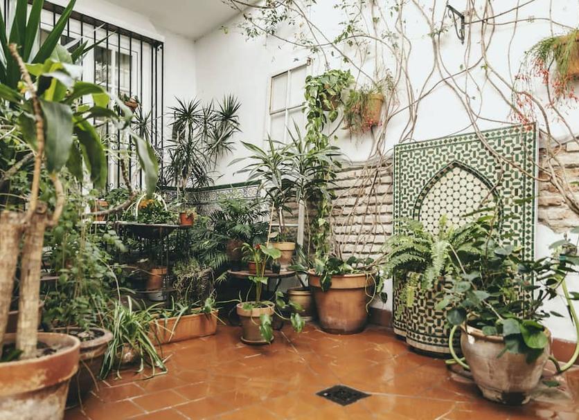 Cảnh ngoài trời Ảnh