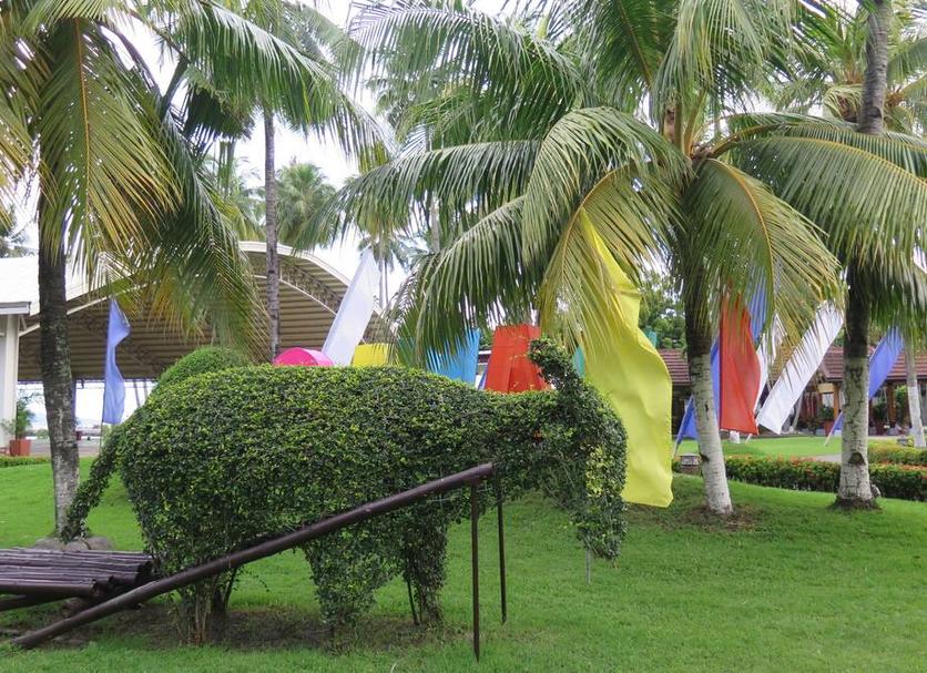 Cảnh ngoài trời Ảnh