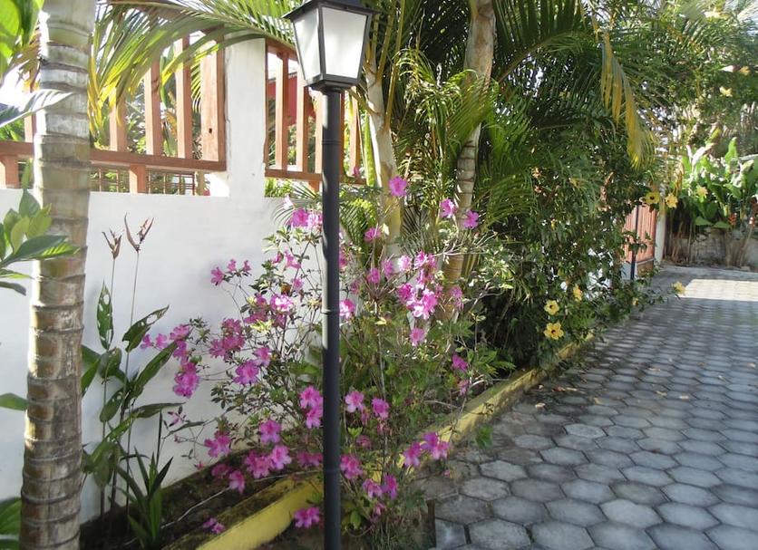 Cảnh ngoài trời Ảnh