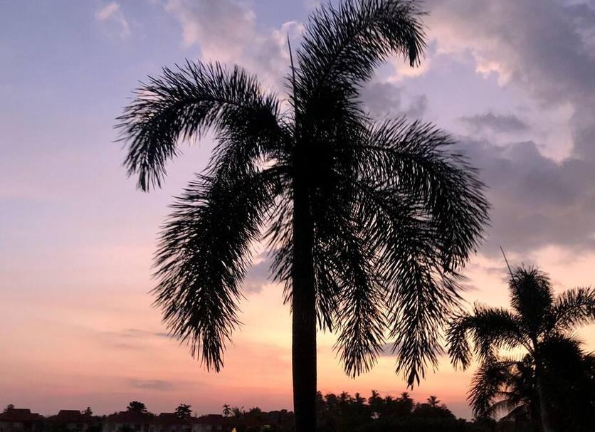 Cảnh ngoài trời Ảnh