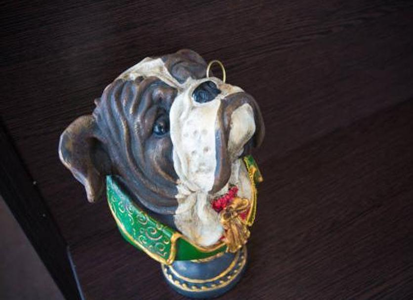 Tiện nghi trong phòng Ảnh