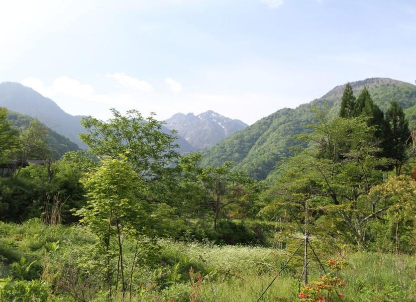 Cảnh ngoài trời Ảnh