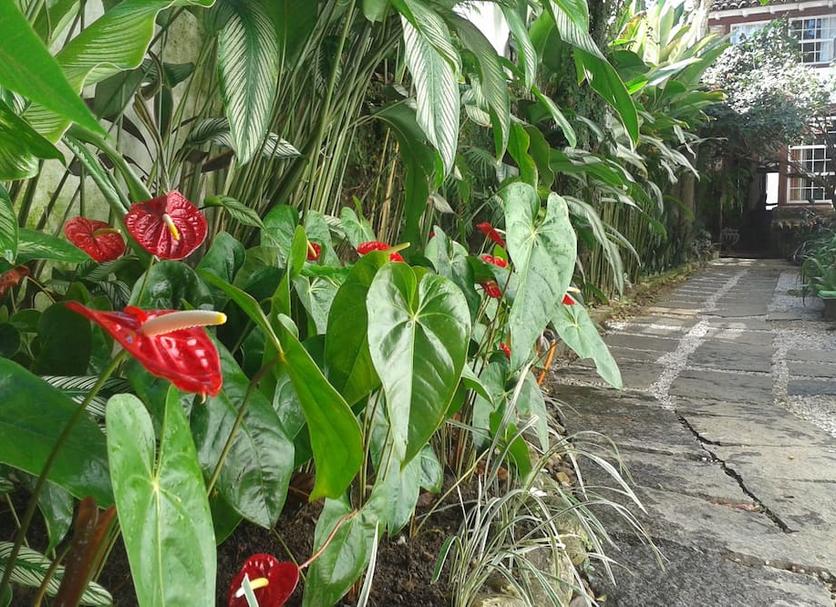 Cảnh ngoài trời Ảnh
