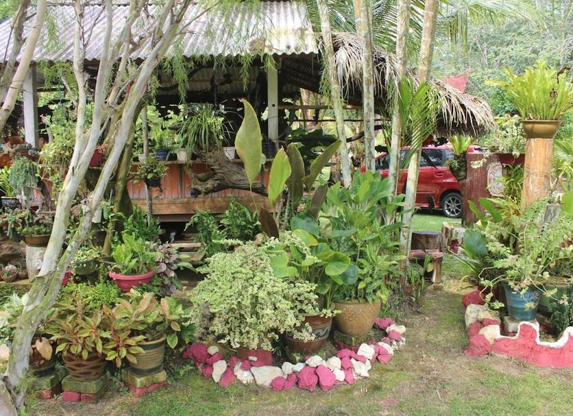 Cảnh ngoài trời Ảnh
