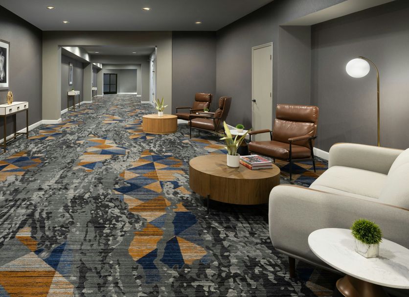Lounge Ảnh