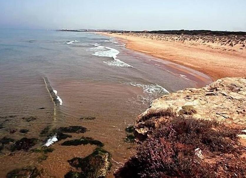 Bãi biển Ảnh