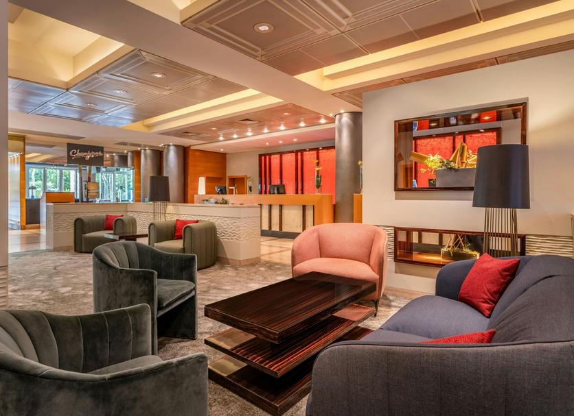Lounge Ảnh