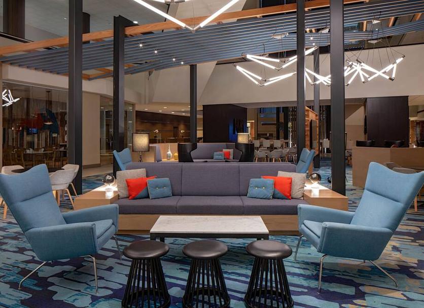 Lounge Ảnh